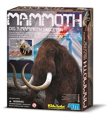 4M Craft Mammoth Skeleton