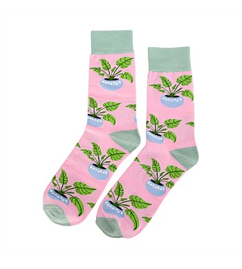 Annabel Trends Jacquard Boxed Sock